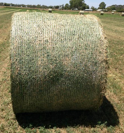 LUCERNE HAY FOR SALE! EXCELLENT QUALITY IN 5 X 4 ROUNDS. Hay